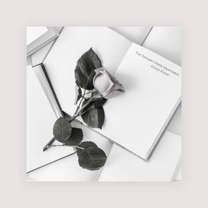 麻豆男上司日屄
